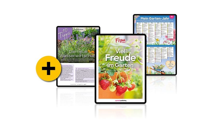 Geschenk runterladen und sofort lesen! Geschenk runterladen und sofort lesen!